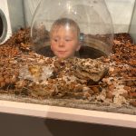 decouverte_du_monde_Hopplakids
